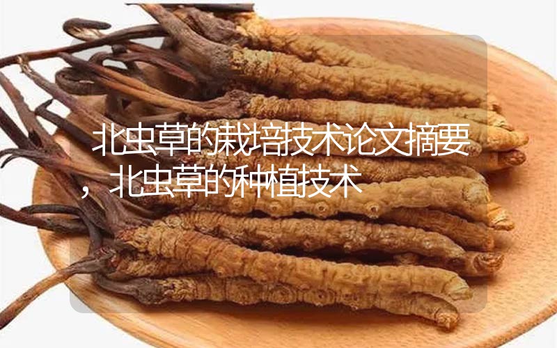 北蟲(chóng)草的栽培技術(shù)論文摘要，北蟲(chóng)草的種植技術(shù)