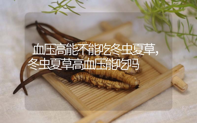 血壓高能不能吃冬蟲(chóng)夏草，冬蟲(chóng)夏草高血壓能吃嗎？