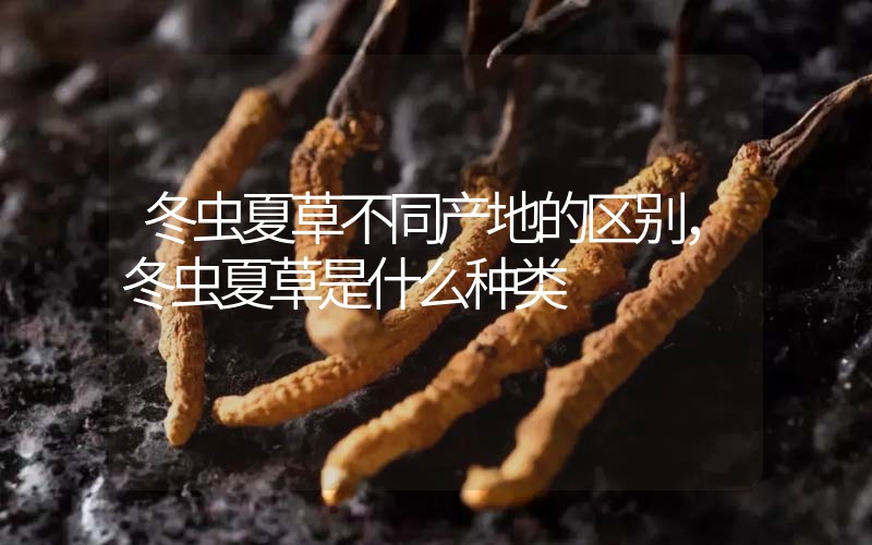 冬蟲夏草不同產(chǎn)地的區(qū)別，冬蟲夏草是什么種類