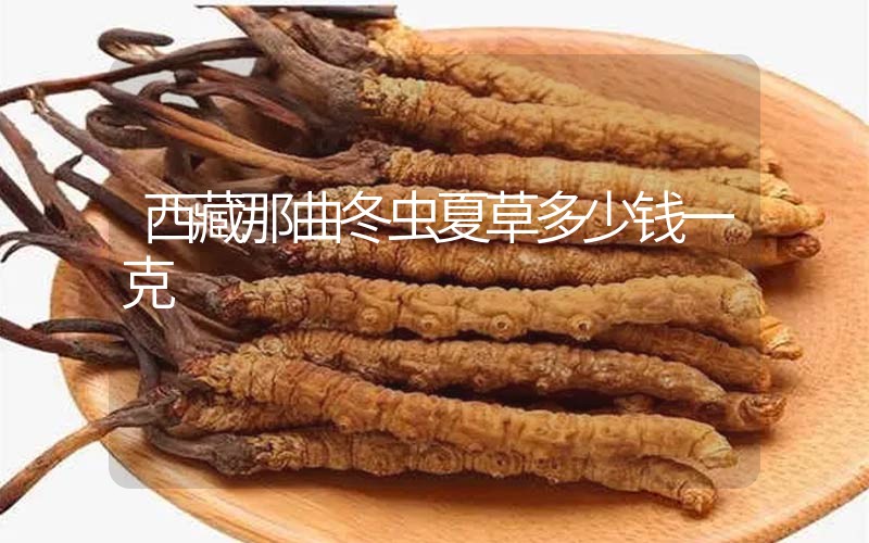 西藏那曲冬蟲(chóng)夏草多少錢(qián)一克？