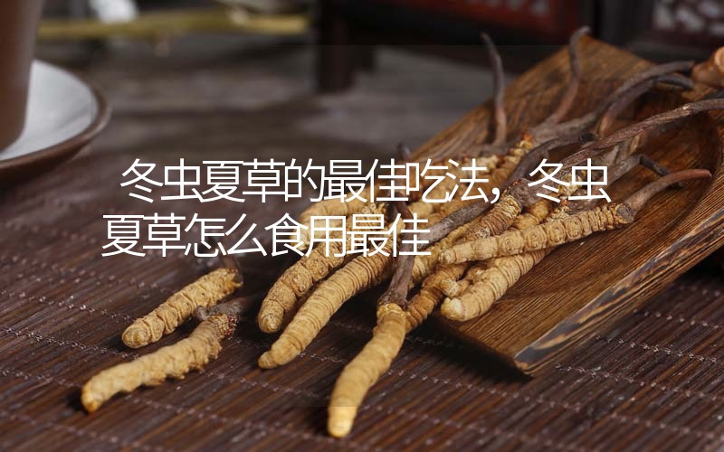 冬蟲夏草的最佳吃法，冬蟲夏草怎么食用最佳