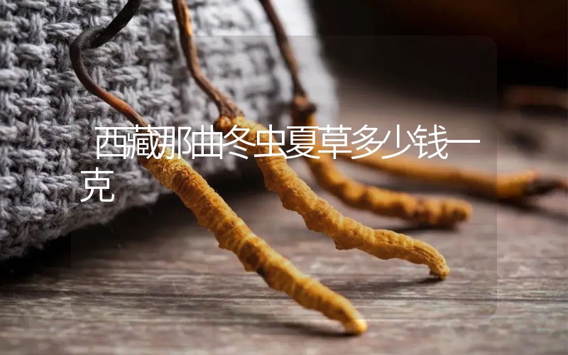 西藏那曲冬蟲(chóng)夏草多少錢(qián)一克？