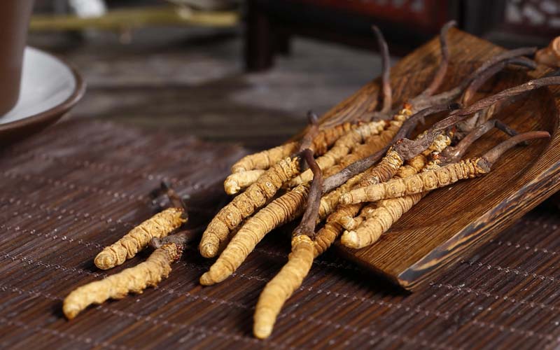 正宗野生蟲(chóng)草多少錢一斤(冬蟲(chóng)夏草一般多少錢一斤/克/根)