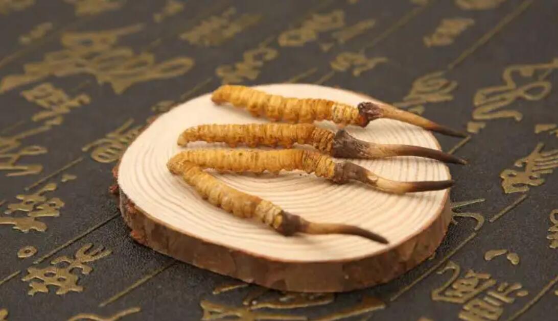 哪個產(chǎn)地的冬蟲夏草營養(yǎng)價值高