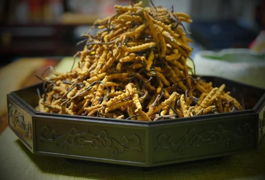 <a href=http://www.cyts-zx.com/ target=_blank class=infotextkey>冬蟲夏草</a>