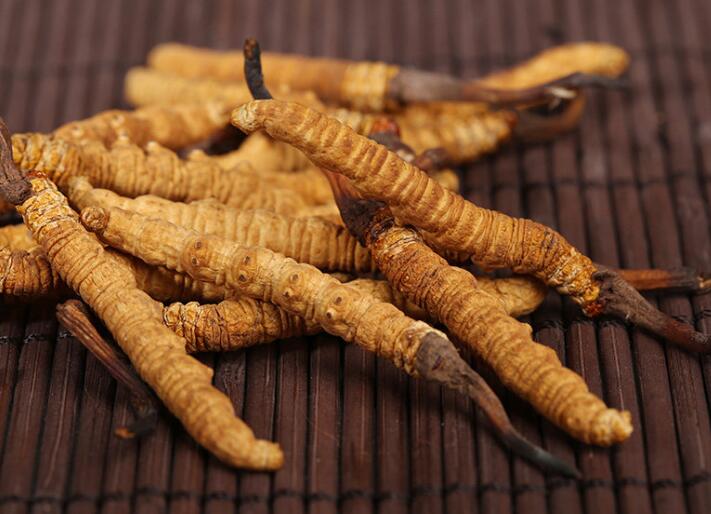 什么樣的冬蟲(chóng)夏草算是優(yōu)質(zhì)的？