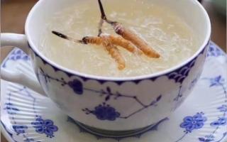 冬蟲夏草燉燕窩怎么做？