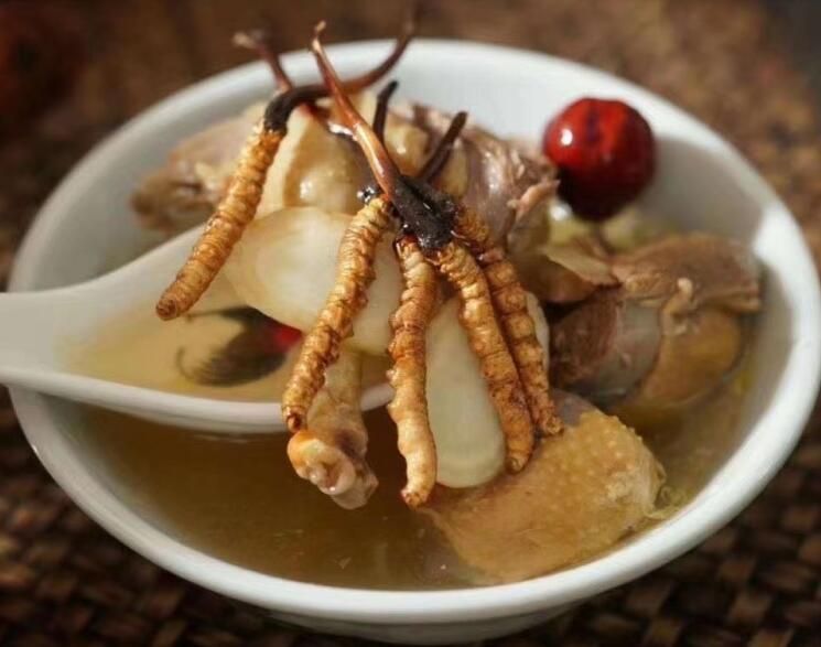 冬蟲夏草可以空腹吃嗎？