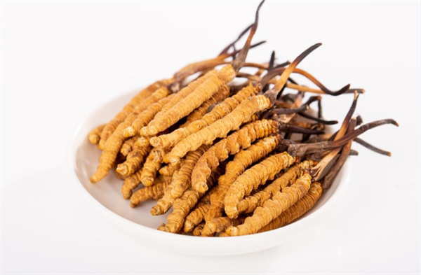 冬蟲夏草和夾脊魚搭配怎么吃？