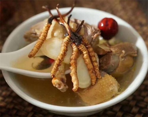 冬蟲(chóng)夏草用什么壺煮水？