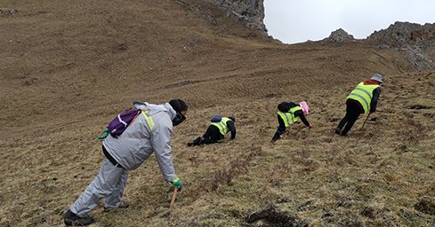 <a href=http://www.cyts-zx.com/sdph/zf/ target=_blank class=infotextkey>珍峰冬蟲夏草</a>:源自世界屋脊的養(yǎng)生瑰寶