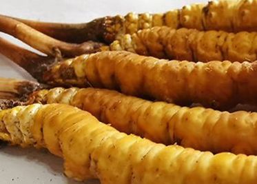 <a href=http://www.cyts-zx.com/sdph/zf/ target=_blank class=infotextkey>珍峰冬蟲夏草</a>主要的銷售模式