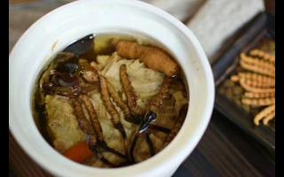 冬蟲夏草怎么食用？解鎖滋補養(yǎng)生的正確打開方式