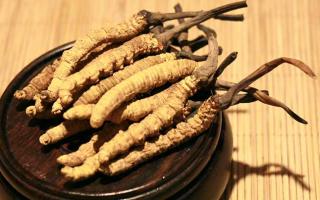 冬蟲夏草的價格一克：為何如此昂貴？