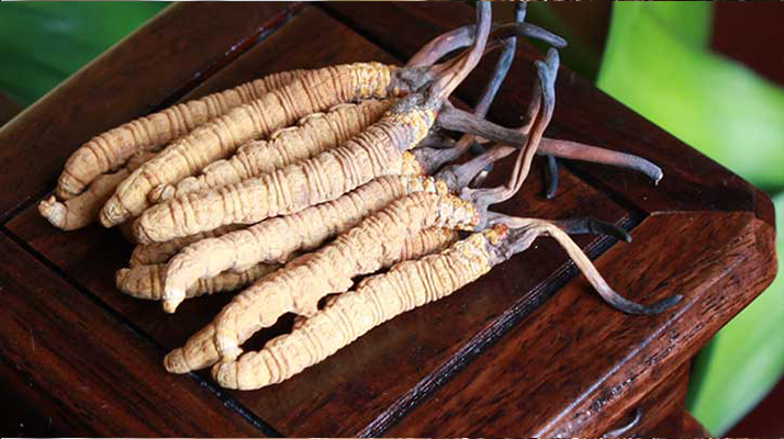 火眼金睛：洞悉亞香棒蟲(chóng)草與冬蟲(chóng)夏草的差異