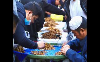 西寧冬蟲(chóng)夏草交易中心：蟲(chóng)草貿(mào)易的核心樞紐