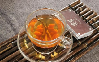 冬蟲夏草泡水時間全解析：泡多久才最有效？