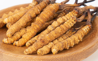 冬蟲夏草王價(jià)格探秘