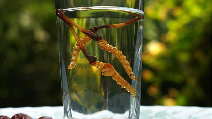 <a href=http://www.cyts-zx.com/xinxian/ target=_blank class=infotextkey>鮮冬蟲夏草</a>怎么泡好吃？這些配方讓滋補更有滋味