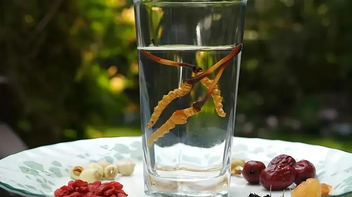 冬蟲(chóng)夏草鮮品泡酒：養(yǎng)生佳釀還是健康隱患？