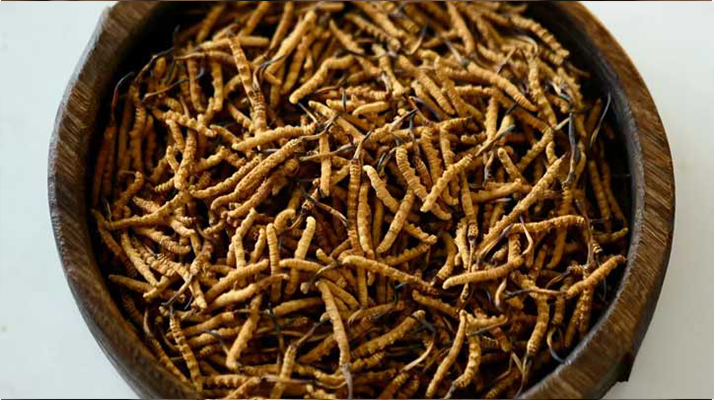 <a href=http://www.cyts-zx.com/jiage/ target=_blank class=infotextkey>冬蟲夏草價格</a>探秘:多因素交織下的市場行情