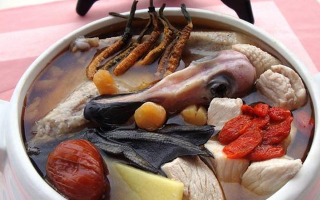 冬蟲夏草配什么煲湯好？營養(yǎng)美味的搭配指南
