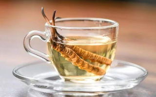 一杯蟲草水，健康新滋味：冬蟲夏草泡水喝的奇妙功效