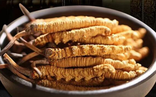 冬蟲(chóng)夏草燉湯會(huì)上火嗎？科學(xué)解析滋補(bǔ)與上火的平衡之道