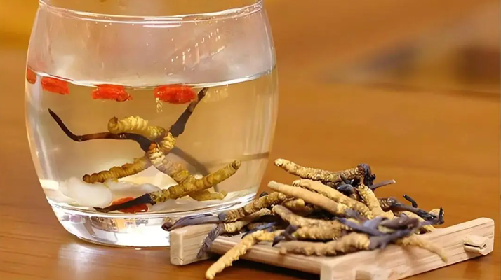 冬蟲(chóng)夏草用什么壺煮水