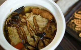 冬蟲夏草的功效與作用
