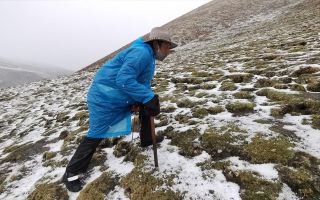 冬蟲(chóng)夏草長(zhǎng)在什么季節(jié)?