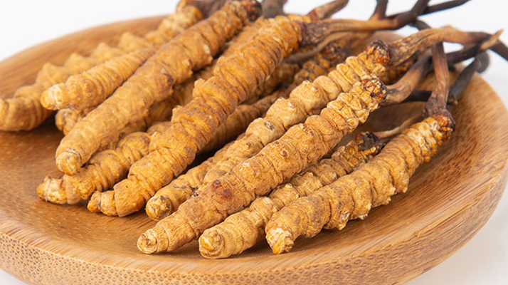 冬蟲夏草年產(chǎn)量多少