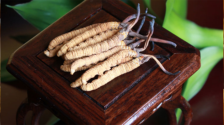 新鮮<a href=http://www.cyts-zx.com/jiage/ target=_blank class=infotextkey>冬蟲夏草的價(jià)格</a>一根