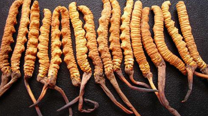 同仁堂<a href=http://www.cyts-zx.com/jiage/ target=_blank class=infotextkey>冬蟲夏草價格</a>解析：品質、規(guī)格與市場的交織