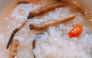 冬蟲夏草適合哪些人群？精準(zhǔn)匹配與禁忌提醒