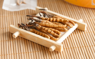 冬蟲夏草怎么燉比較好？解鎖營(yíng)養(yǎng)不流失的燉煮指南