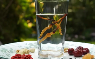 冬蟲夏草能空腹泡水喝嗎？不同人群需區(qū)別對(duì)待
