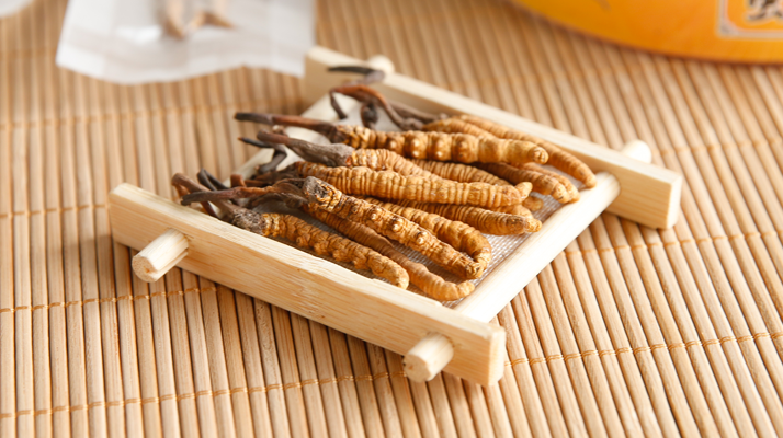 2025 年 9 月冬蟲夏草行情：價格微幅波動，優(yōu)質(zhì)貨成硬通貨