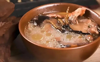 冬蟲夏草治什么病效果好？厘清輔助調(diào)理邊界與適用場(chǎng)景