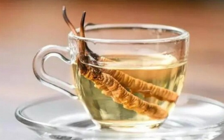 十根冬蟲(chóng)夏草泡多少酒？科學(xué)配比與實(shí)操指南