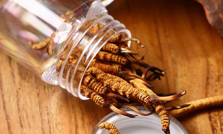 <a href=http://www.cyts-zx.com/jiage/ target=_blank class=infotextkey>冬蟲(chóng)夏草多少錢(qián)</a>一條 