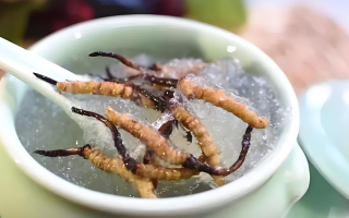 十根冬蟲(chóng)夏草能泡幾斤酒？泡酒比例與細(xì)節(jié)指南