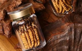 鮮冬蟲夏草泡水后怎么保存？3 種場景保存方法 + 避坑指南