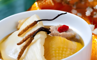 黃芪能和西藏那曲的冬蟲(chóng)夏草一起燉嗎？