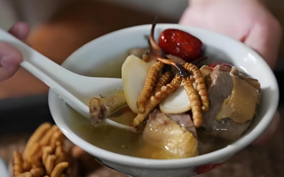 冬蟲夏草和什么一起燉可以治咳嗽？