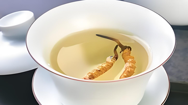 鮮冬蟲夏草可以煮水喝嗎？有什么功效和作用？