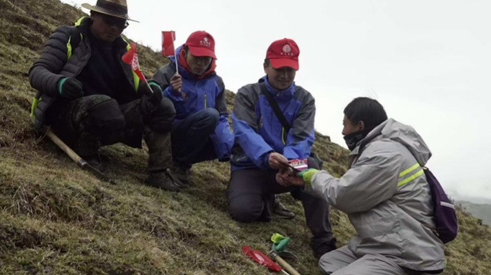 東強(qiáng)堂冬蟲(chóng)夏草的采挖時(shí)間和注意事項(xiàng)