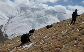 個(gè)人采集證 + 企業(yè)收購(gòu)許可的申請(qǐng)材料清單與辦理時(shí)間表