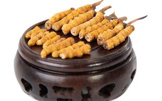 冬蟲夏草的頭期斷草好嗎？有沒有營養(yǎng)價值？