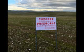 高原之上，蟲草共生；守護(hù)生態(tài)，東強(qiáng)堂與你同行